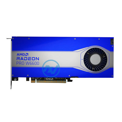 Carte grafiche AMD Radeon Pro W6600 originali supporto PCI Express Compatibilità con il passato
